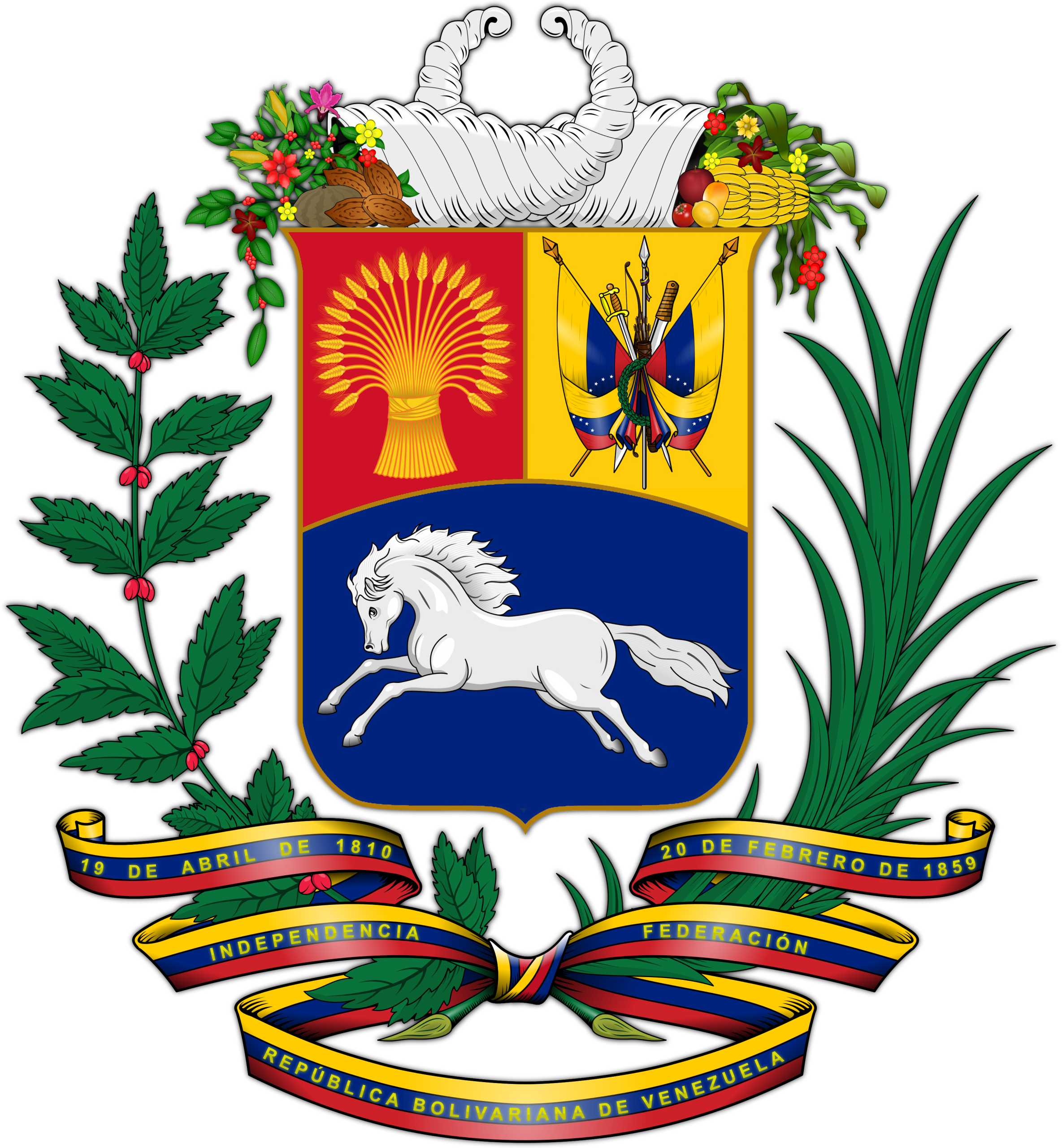 Order Fast IPTV Service in Venezuela